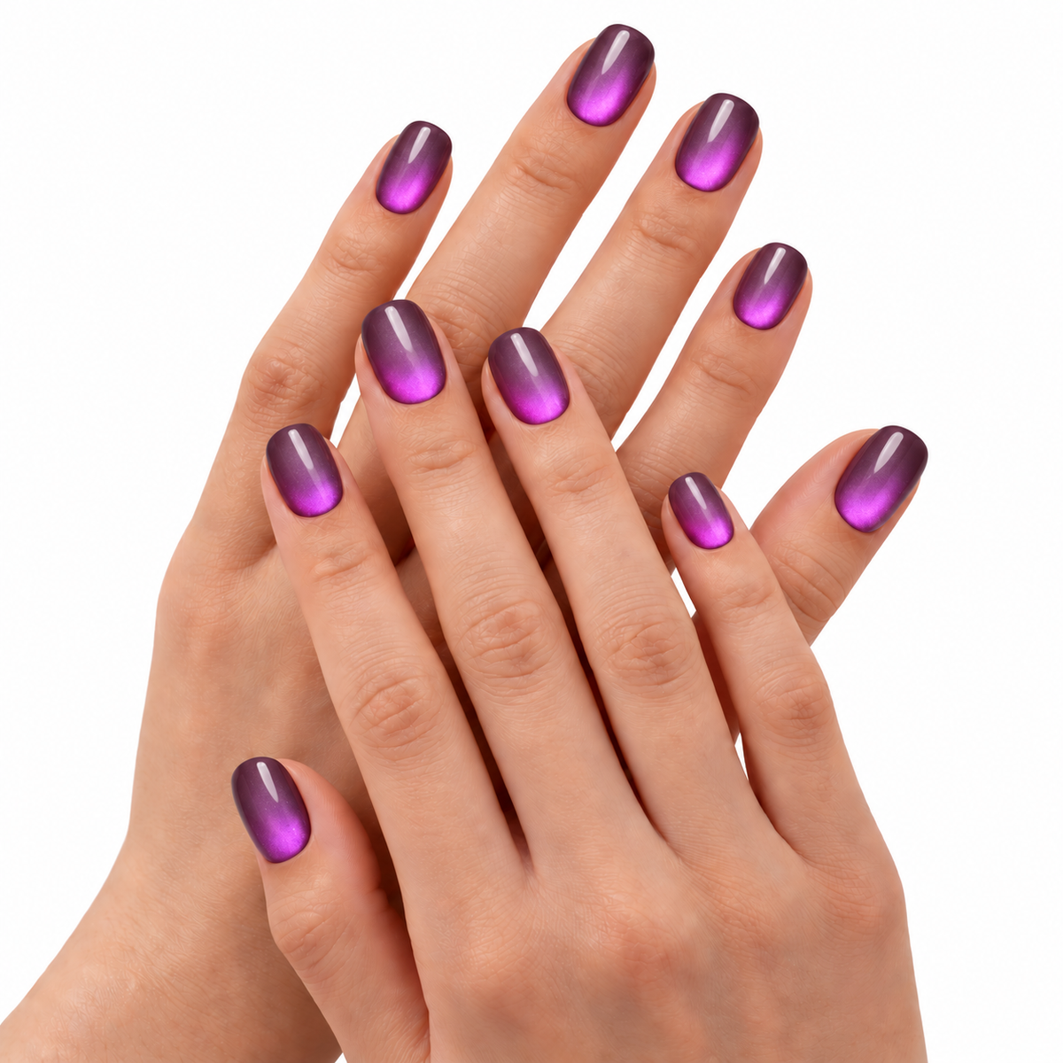 Violet Aurora