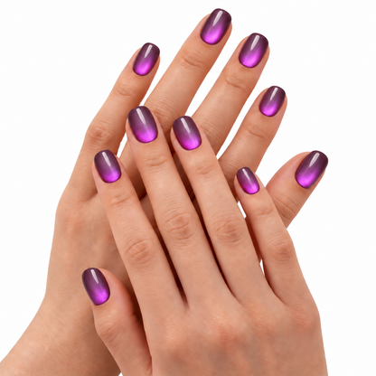 Violet Aurora